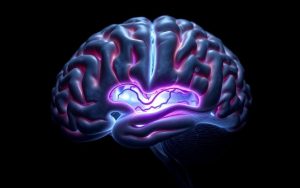 brain processes during mistake recognition