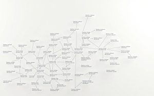 grammatical usage patterns
