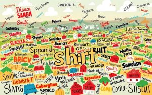 spanish slang words regional variations